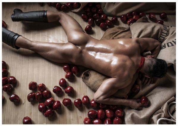 XPERIMENT-16--The-Apple-Picker